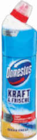 WC-Gel im Angebot bei Netto Marken-Discount in Kempten WC-Gel Angebote von Domestos bei Netto Marken-Discount Kempten für 1,69 €