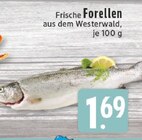 Aktuelle Forelle Angebote bei E center in Bonn Aktuelles Frische Forellen Angebot bei E center in Bonn ab 1,69 €