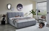 Polsterbett PB130 Vail, silber, 180 x 200 cm im Angebot bei HARDECK in Essen Polsterbett PB130 Vail, silber, 180 x 200 cm Angebote von Sun Garden bei HARDECK Essen für 314,10 €