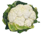 Blumenkohl im aktuellen V-Markt Prospekt für 1,49 €