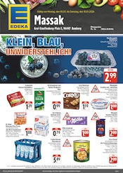 Aktueller EDEKA Prospekt mit Flammkuchen, "Wir lieben Lebensmittel!", Seite 1