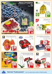 Bio im E center Prospekt in Rostock Aktueller E center Prospekt mit Bio, "Top Angebote", Seite 10