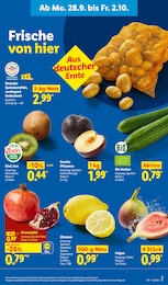Lidl Zitronen im Prospekt Lidl Zitronen im Prospekt