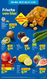 Zitronen im Lidl Prospekt "LIDL LOHNT SICH" mit 73 Seiten (Nürnberg)