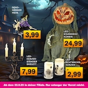 Aktueller KODi Prospekt mit Kerzen, "HAPPY HALLOWEEN", Seite 2