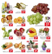 Aktueller Marktkauf Prospekt mit Blumen, "Aktuelle Angebote", Seite 5