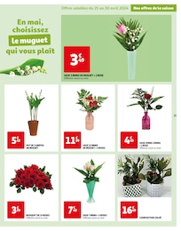 Offre Fleur En Pot dans le catalogue Auchan Hypermarché du moment à la page 21