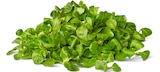 Deutscher Feldsalat bei Penny im Mildenau Prospekt für 1,00 €