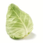 Spitzkohl von GO Regio im aktuellen Netto mit dem Scottie Prospekt