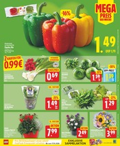 Bio im WEZ Prospekt in Bad Oeynhausen Aktueller WEZ Prospekt mit Bio, "Die WEZette", Seite 3