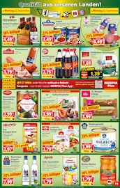 Rindfleisch im Norma Prospekt in Magdeburg Aktueller Norma Prospekt mit Rindfleisch, "Mehr fürs Geld", Seite 12
