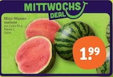 Mini-Wassermelone im tegut Prospekt Mini-Wassermelone von im aktuellen tegut Prospekt für 1,99 €