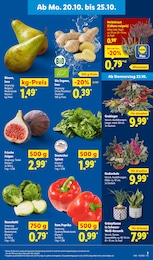 Lidl Spinat im Prospekt Lidl Spinat im Prospekt