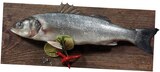 Aktuelle Fisch Angebote bei REWE in Duisburg Aktuelles Wolfsbarsch Angebot bei REWE in Duisburg ab 1,69 €