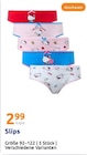 Slips bei Action im Selm Prospekt für 2,99 €