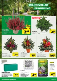 Schnittblumen Angebot & Preis im aktuellen Hagebaumarkt Prospekt Schnittblumen Angebot im aktuellen Hagebaumarkt Prospekt auf Seite 18