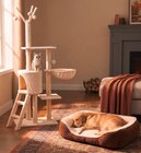 Arbre à chat en promo chez Gifi Arbre à chat dans le catalogue Gifi