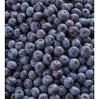 Myrtille en promo chez Carrefour Market Bastia à 3,69 €