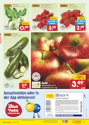 Zucchini im Netto Marken-Discount Prospekt in Regensburg Aktueller Netto Marken-Discount Prospekt mit Zucchini, "Aktuelle Angebote", Seite 13
