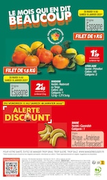 Offre Mandarine dans le catalogue Netto du moment à la page 16