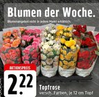 Angebot im EDEKA Wallenhorst Prospekt EDEKA Wallenhorst Prospekt mit im Angebot für 2,22 €