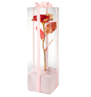 Rose led dans le catalogue Gifi