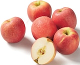 Promo Pomme Pink Lady à 1,97 € dans le catalogue Lidl à Canteleu