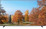 TV 50U65A im Angebot bei expert in Plochingen TV 50U65A Angebote von TCL bei expert Plochingen für 249,00 €
