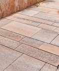Beton Pflasterstein Caleta Angebote von Lusit bei Hornbach Waiblingen für 32,89 €