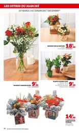 Offre Jardinage dans le catalogue Super U du moment à la page 42