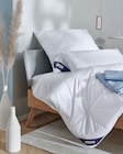 Kopfkissen Grönland bei Sconto SB im Magdeburg Prospekt für 29,99 €