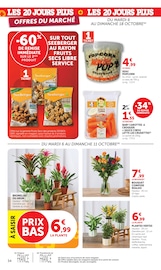 Promos Fleurs dans le catalogue "LES 20 JOURS PLUS" de Super U Fleurs en promo dans le catalogue Super U à la page 34