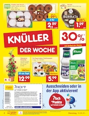Blumen im Netto Marken-Discount Prospekt in Memmingen Aktueller Netto Marken-Discount Prospekt mit Blumen, "Aktuelle Angebote", Seite 2