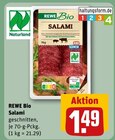 Aktuelles Salami Angebot bei REWE in Magdeburg ab 1,49 €