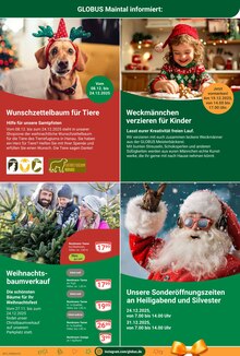 Adventskranz im GLOBUS Prospekt "Aktuelle Angebote" mit 60 Seiten (Offenbach (Main))