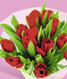Bouquet de 9 Roses ou de 12 tulipes - Casino Supermarchés à Orange Bouquet de 9 Roses ou de 12 tulipes en promo chez Casino Supermarchés Orange à 4,99 €