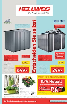 Blumenzwiebeln Angebot im aktuellen Hellweg Prospekt auf Seite 3