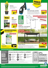 Pergola Angebot im aktuellen Hagebaumarkt Prospekt auf Seite 20