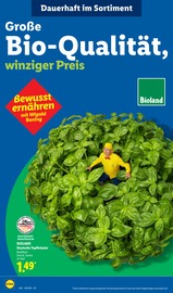 Aktueller Lidl Prospekt mit Kräuter, "LIDL LOHNT SICH", Seite 52