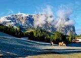 Seiseralm Dolomiten bei ASTL-Reisen im Prospekt "" für 52,00 €