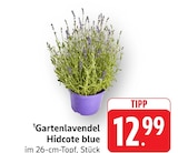 Gartenlavendel Hiddcote blue bei EDEKA im Donzdorf Prospekt für 12,99 €