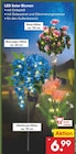 LED Solar Blumen im Angebot bei Netto Marken-Discount in Solingen LED Solar Blumen Angebote bei Netto Marken-Discount Solingen für 6,99 €