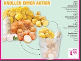 Aktuelles Speisekartoffeln Angebot bei Marktkauf in Nürnberg ab 4,99 €