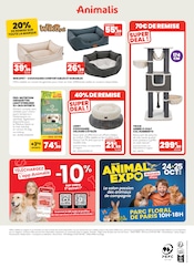 Promos Coussin Chat dans le catalogue "Le mois des ANIMAUX" de Animalis à la page 12 Promos Coussin Chat dans le catalogue "Le mois des ANIMAUX" de Animalis à la page 12
