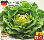 Aktuelle Salat Angebote bei Netto Marken-Discount in Bremen Aktuelles Kopfsalat Angebot bei Netto Marken-Discount in Bremen ab 0,99 €