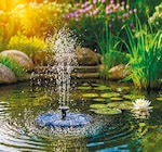 Solar-Springbrunnen für 7,99 € bei Netto mit dem Scottie im Angebot Solar-Springbrunnen im aktuellen Netto mit dem Scottie Prospekt