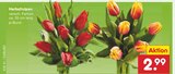 Herbsttulpen im Angebot bei Netto Marken-Discount in St. Ingbert Herbsttulpen Angebote bei Netto Marken-Discount St. Ingbert für 2,99 €