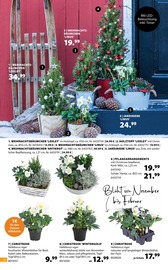 Weihnachtsbaum im Dehner Garten-Center Prospekt in Ennepetal Aktueller Dehner Garten-Center Prospekt mit Weihnachtsbaum, "Es wird gemütlich!", Seite 4