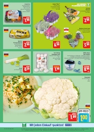 Pilze Angebot im aktuellen Marktkauf Prospekt auf Seite 11