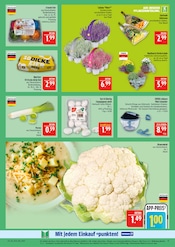 Aktueller Marktkauf Prospekt mit Blumen, "AUSWAHL RIESIG, PREISE NIEDRIG", Seite 11